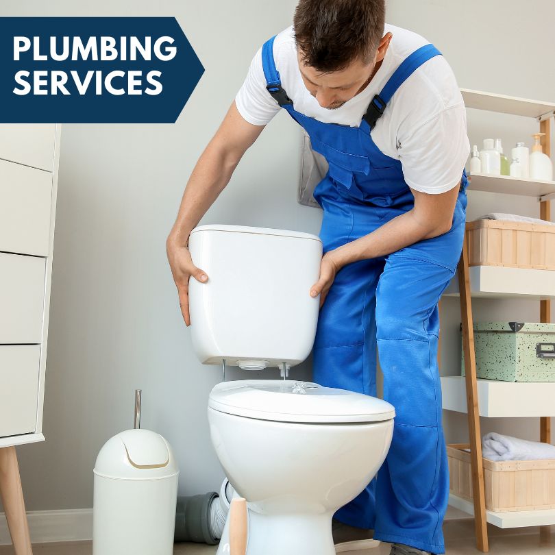 Plumbing Company in Willisville, AR